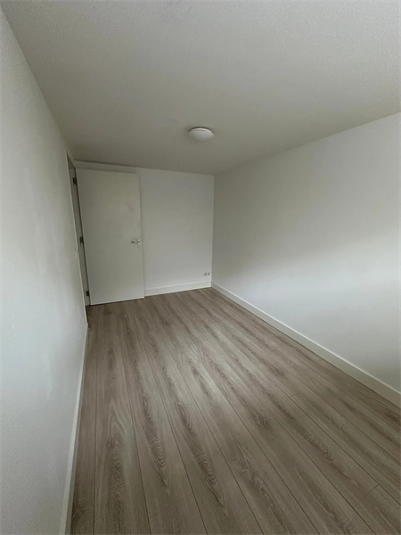 Image 8 of 14