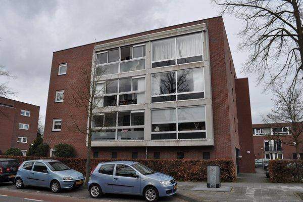 Afbeelding 1 van 13