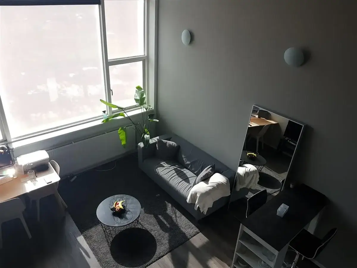 Image 2 of 10