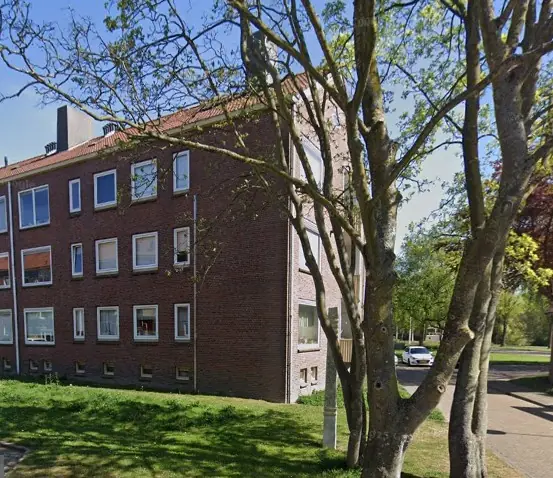 Afbeelding 2 van 2