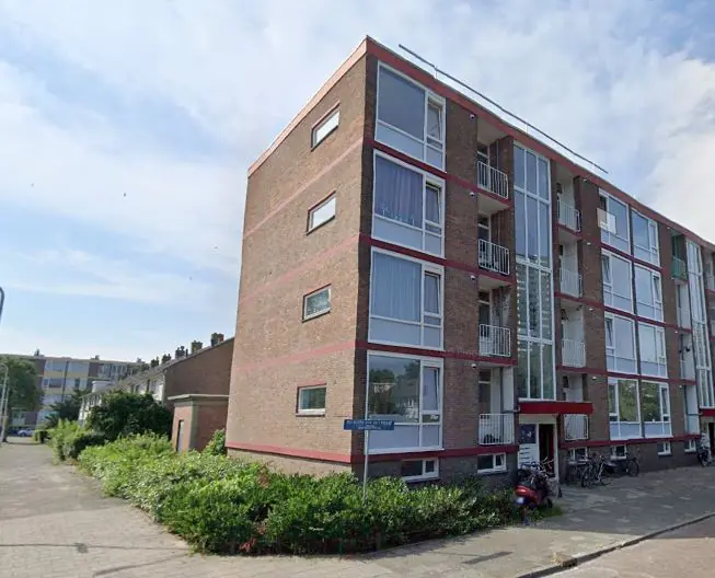 Afbeelding 1 van 1