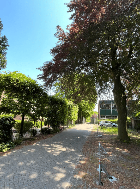 Image 25 of 37