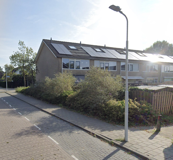 Afbeelding 2 van 13