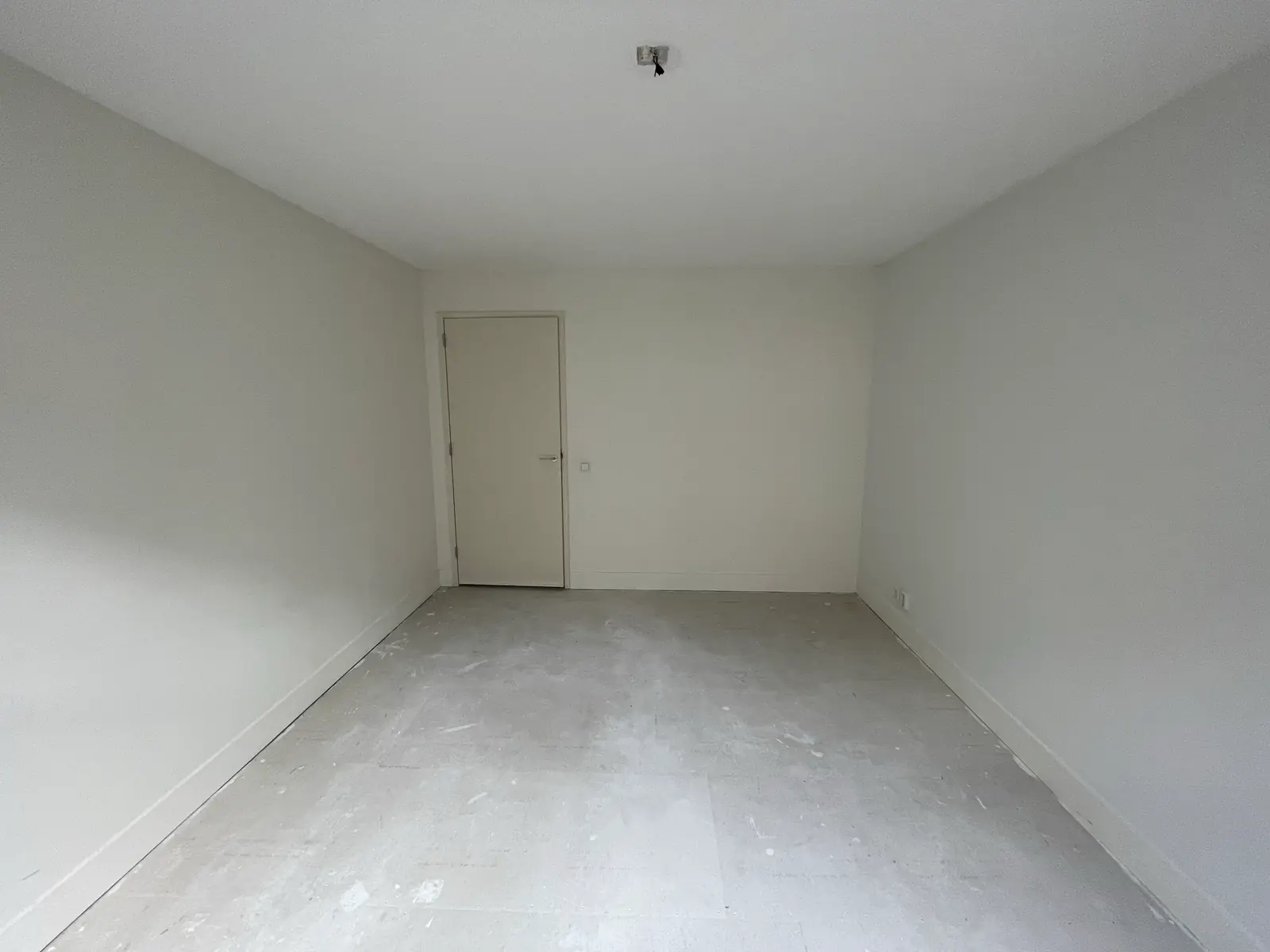 Image 7 of 19