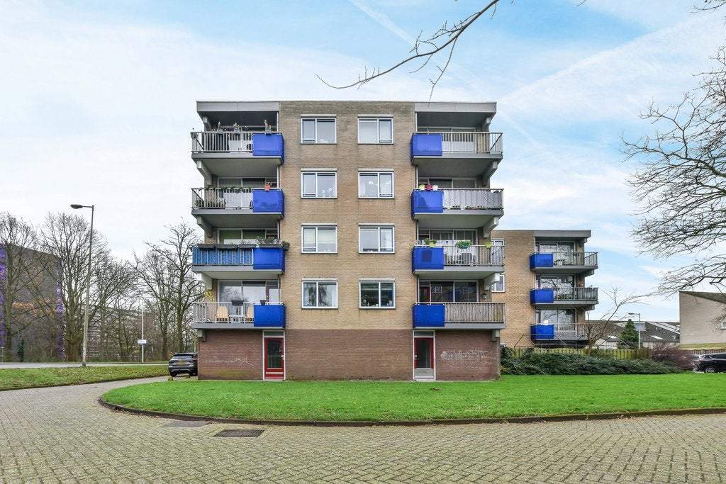 Afbeelding 1 van 17