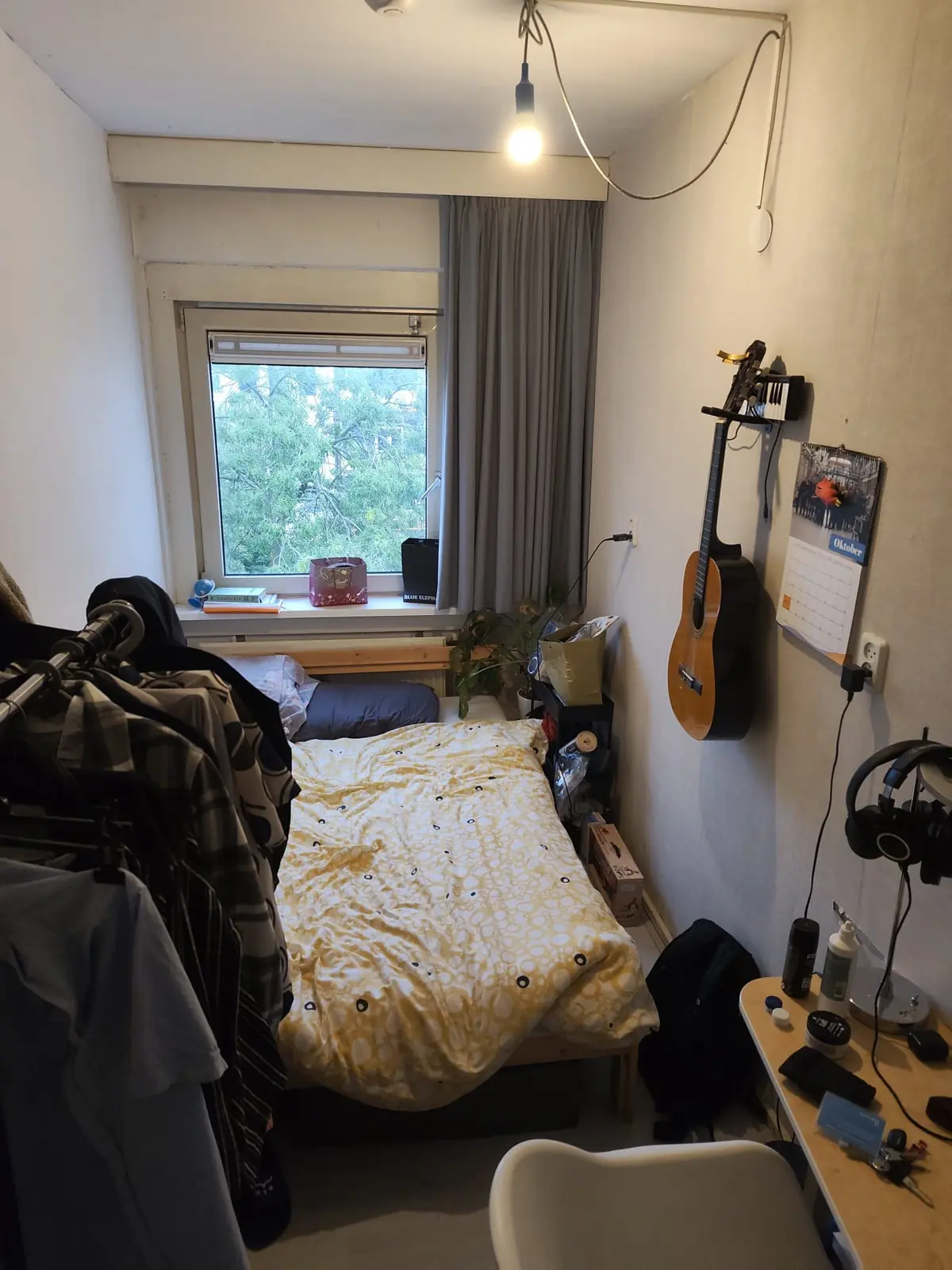 Image 7 of 7