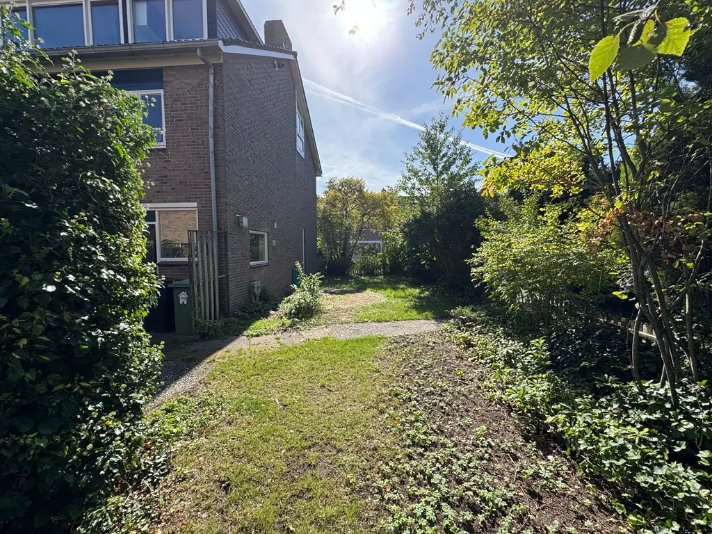 Afbeelding 10 van 11
