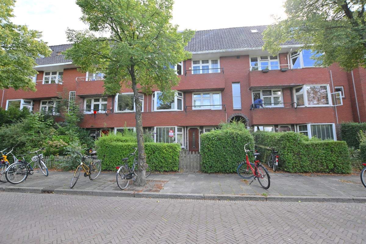 Afbeelding 1 van 34