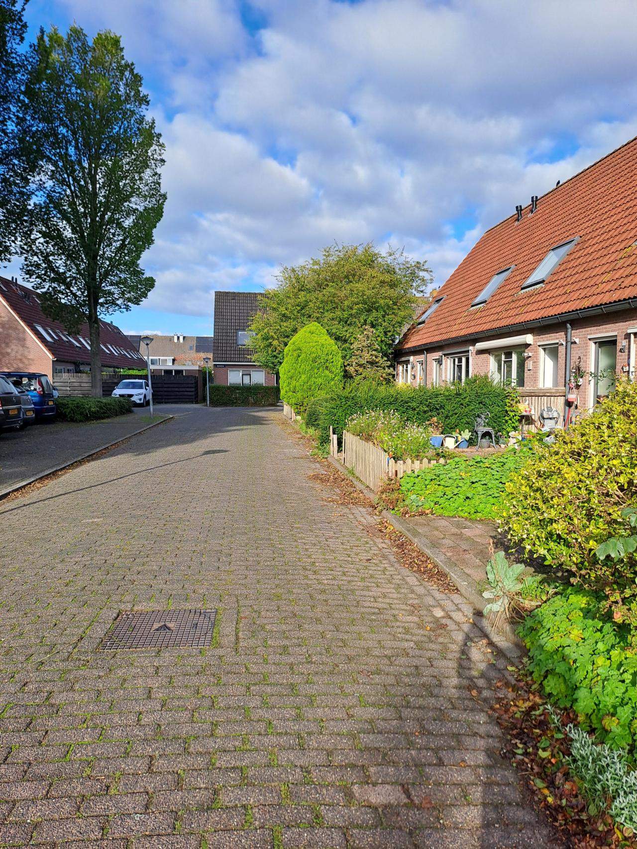 Bild 3 von 9