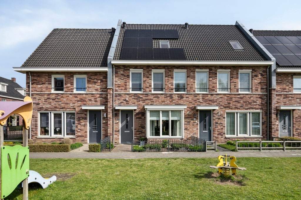 Afbeelding 1 van 50