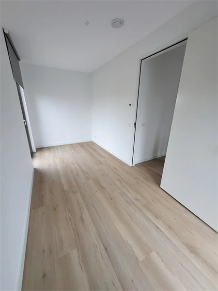 Image 12 of 21