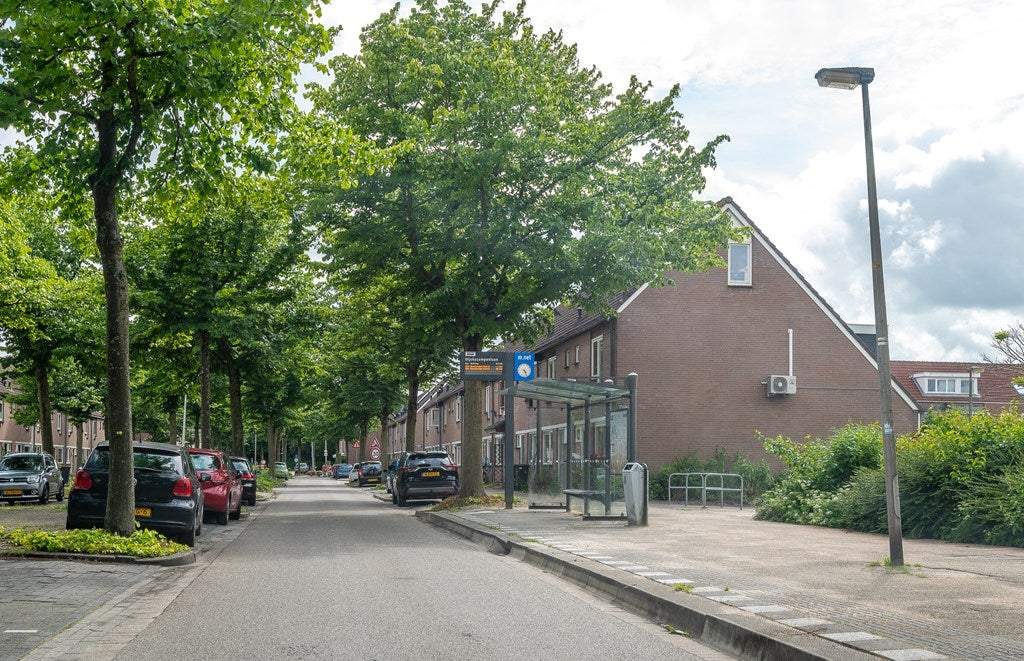 Afbeelding 3 van 40