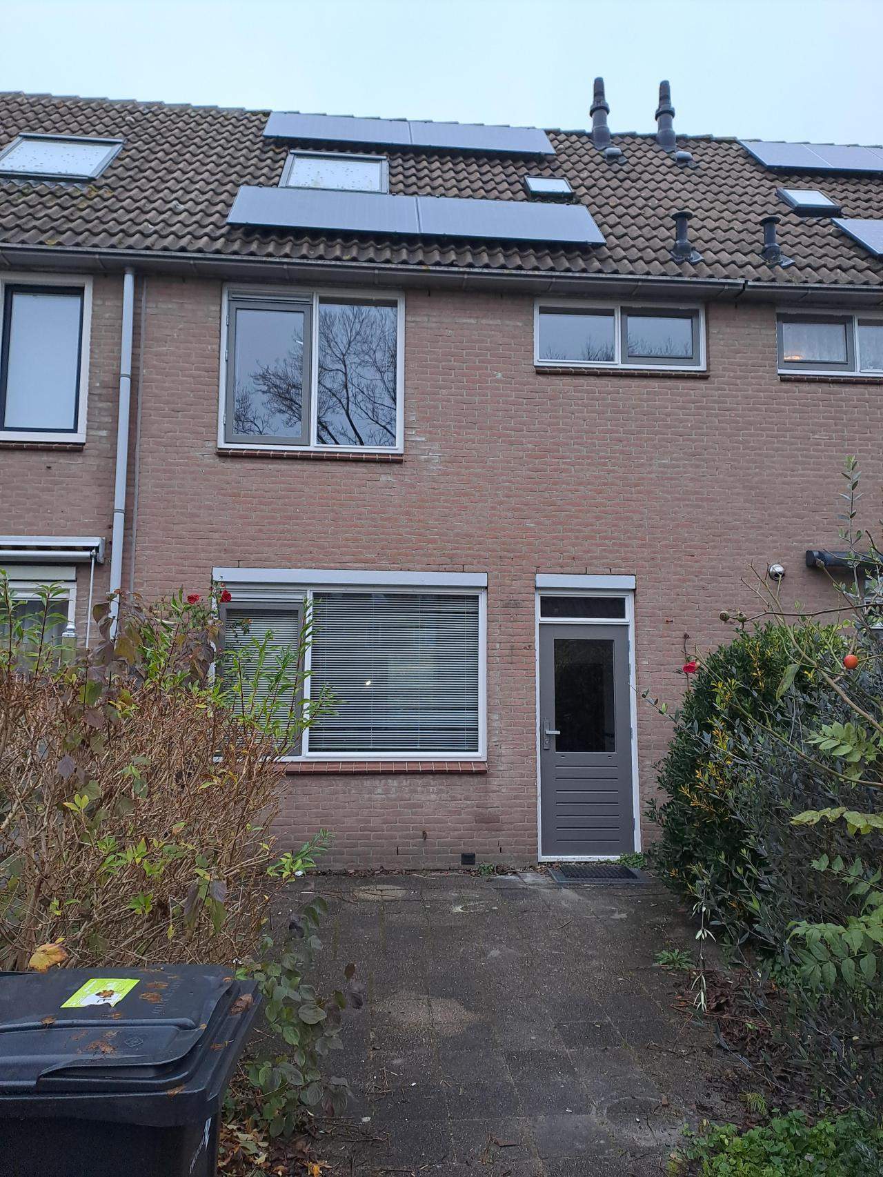 Afbeelding 9 van 9