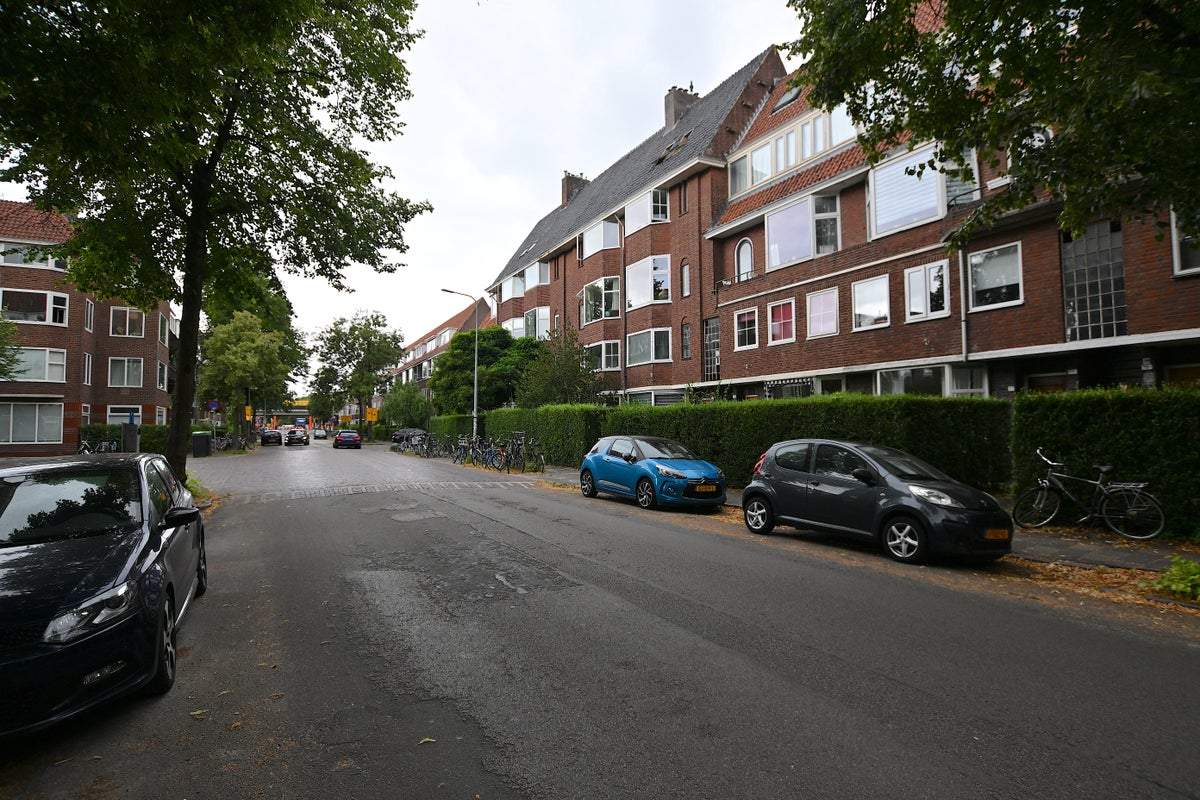 Bild 2 von 11