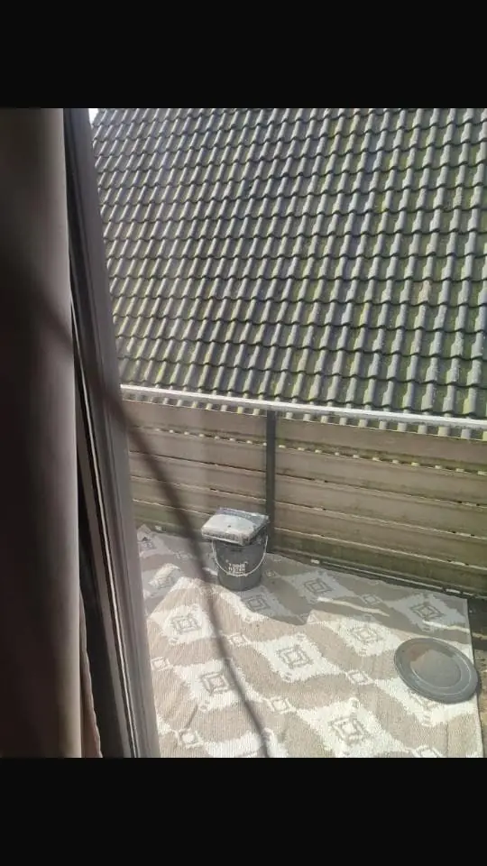 Afbeelding 3 van 5