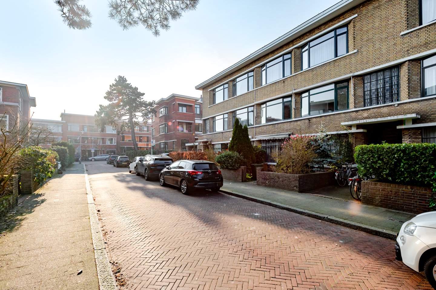 Afbeelding 2 van 12