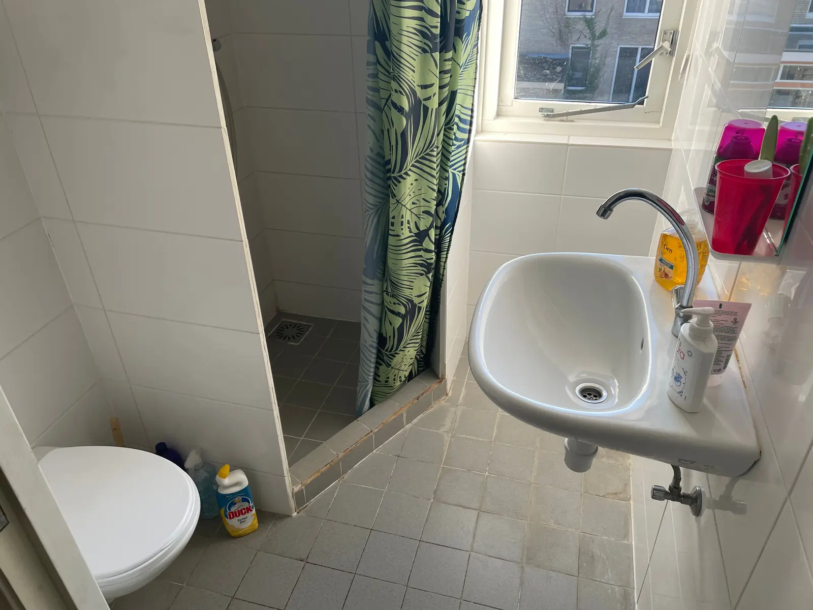 Image 7 of 10