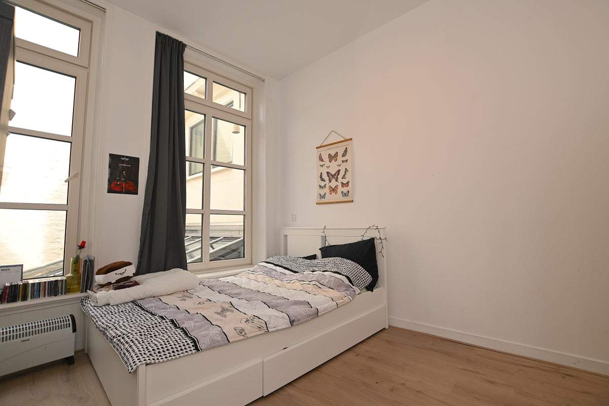 Bild 3 von 13