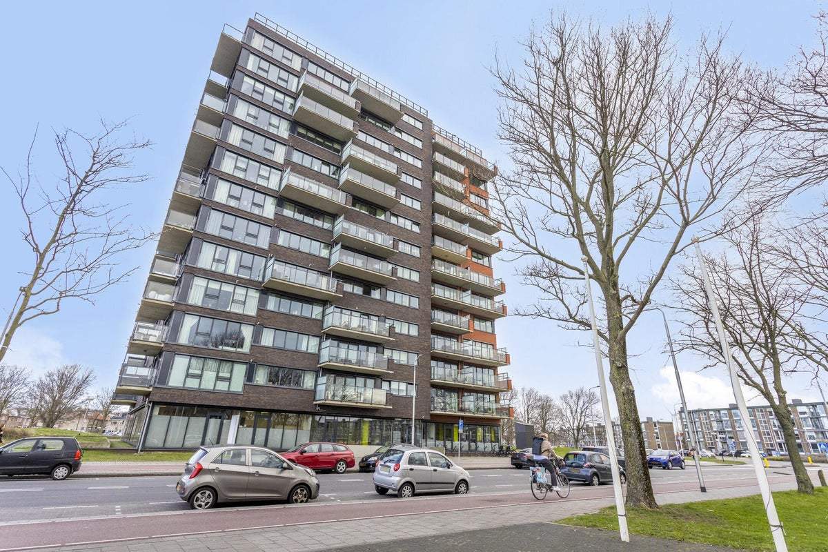 Afbeelding 3 van 25