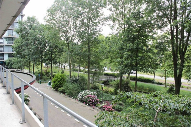 Image 16 sur 17