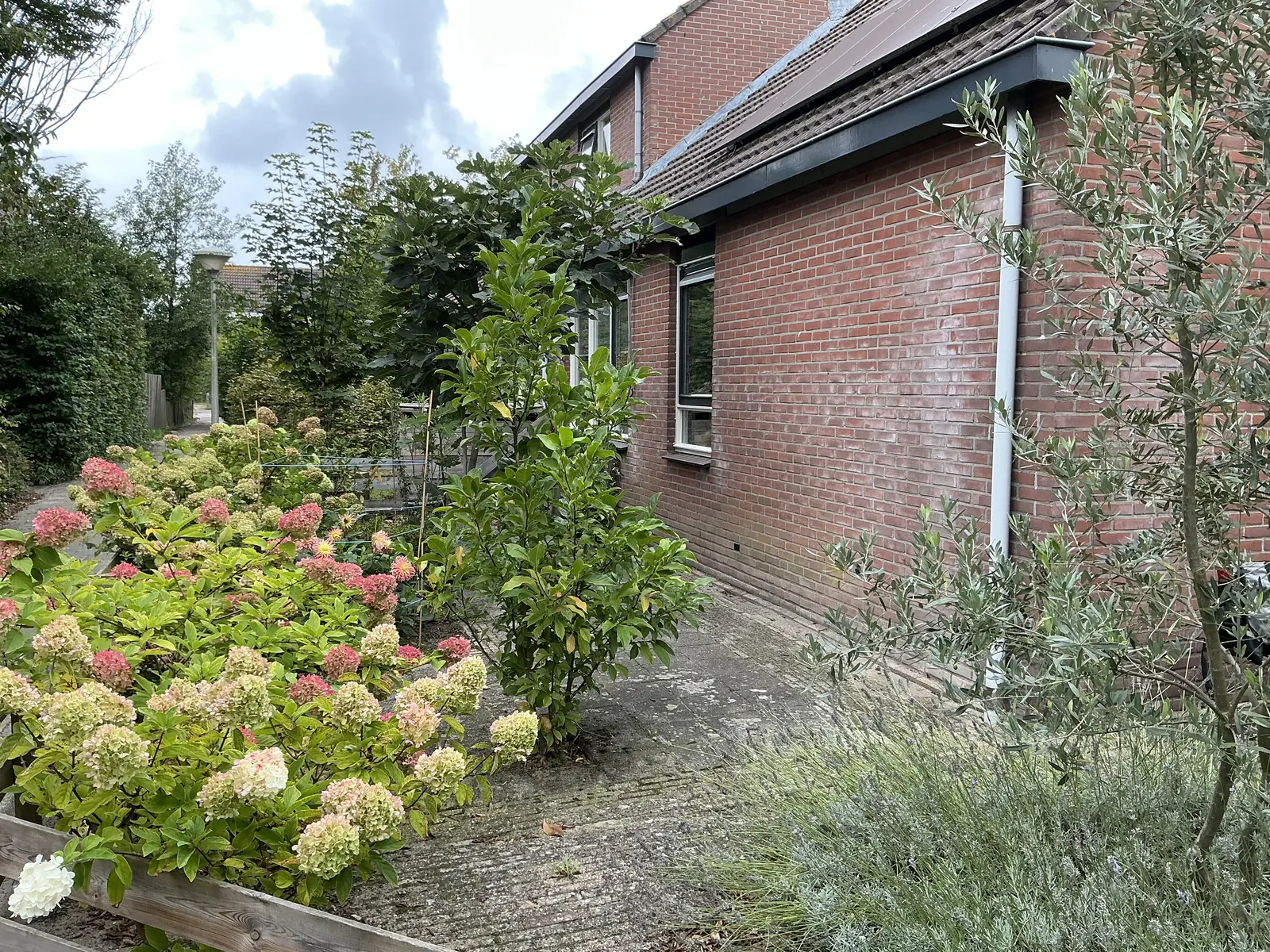 Bild 2 von 6