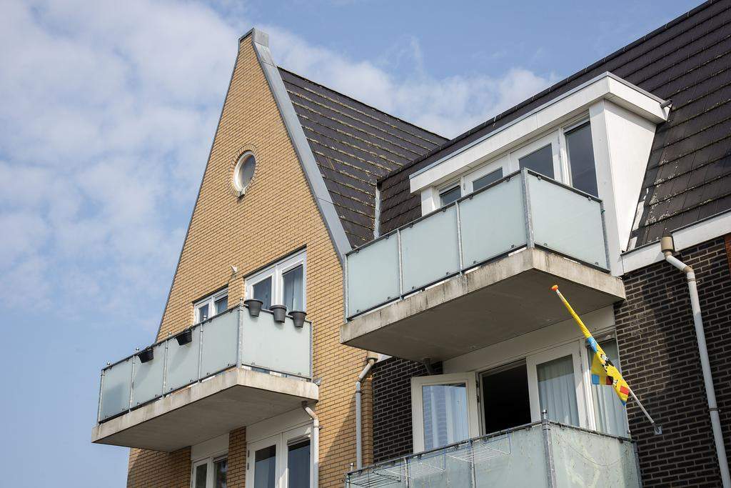 Bild 2 von 12