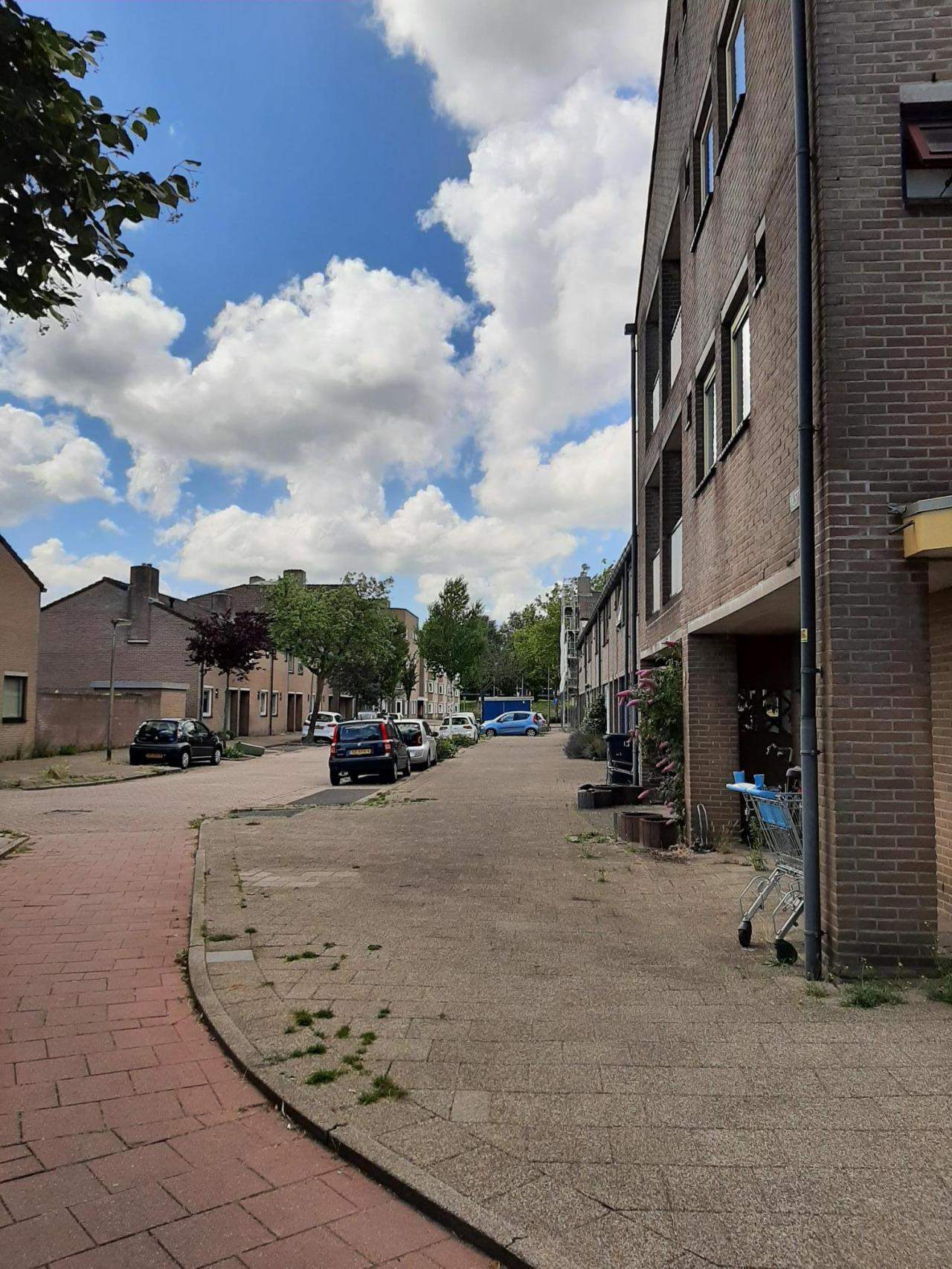 Afbeelding 5 van 9