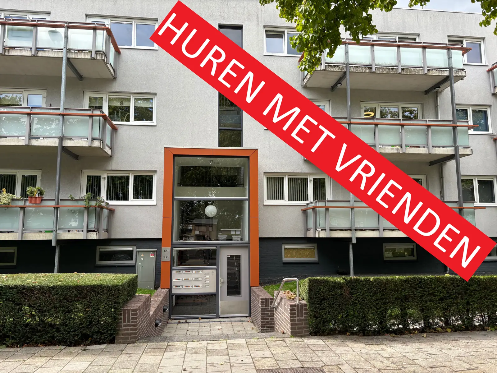 Afbeelding 1 van 9