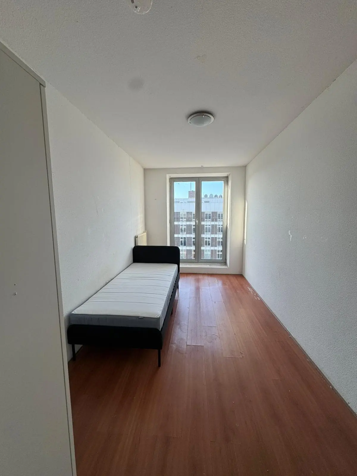 Image 10 of 10