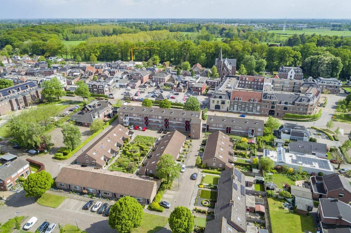 Afbeelding 1 van 16