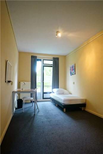 Image 10 of 10