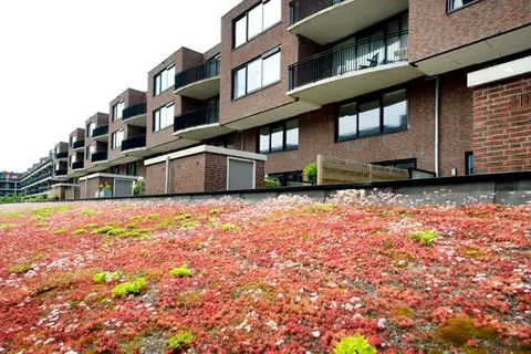 2-Zimmer-Wohnung Snellinckstraat 12b, Rotterdam - Zu Vermieten