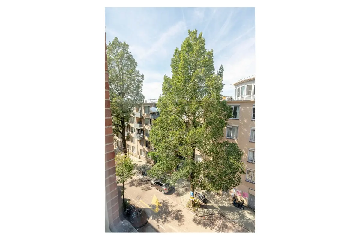 Image 11 of 13
