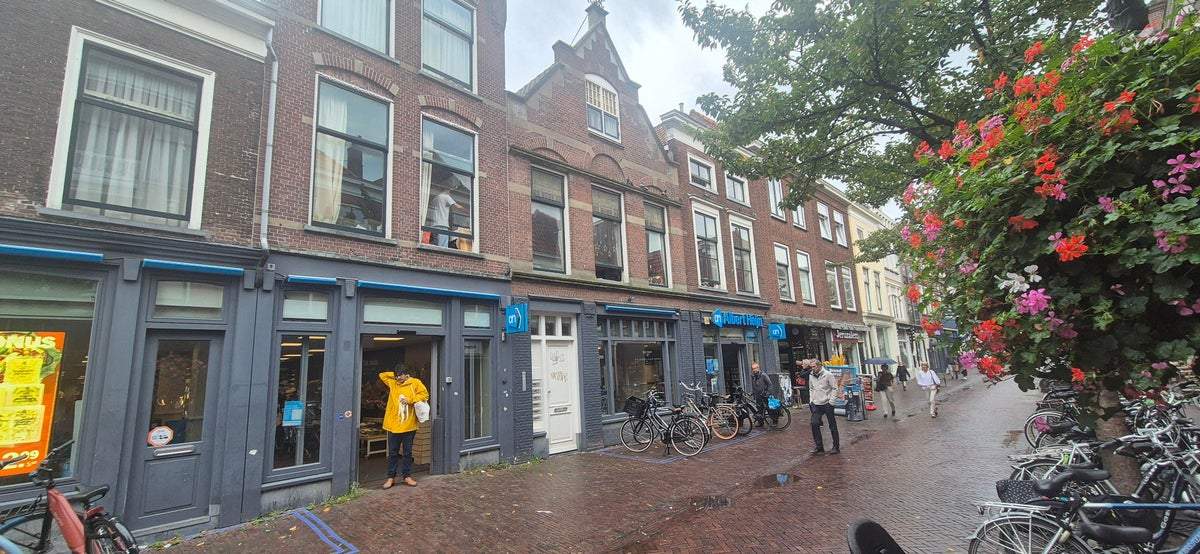 Afbeelding 1 van 11