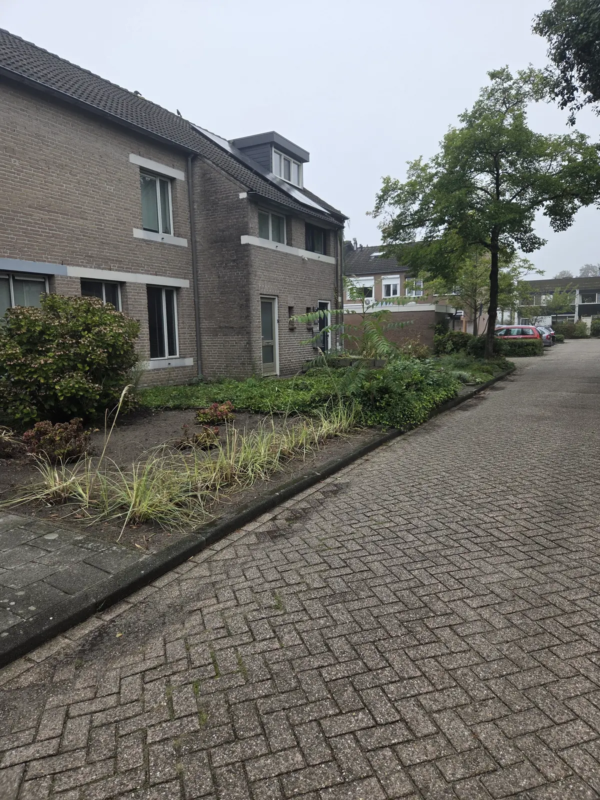 Bild 17 von 18