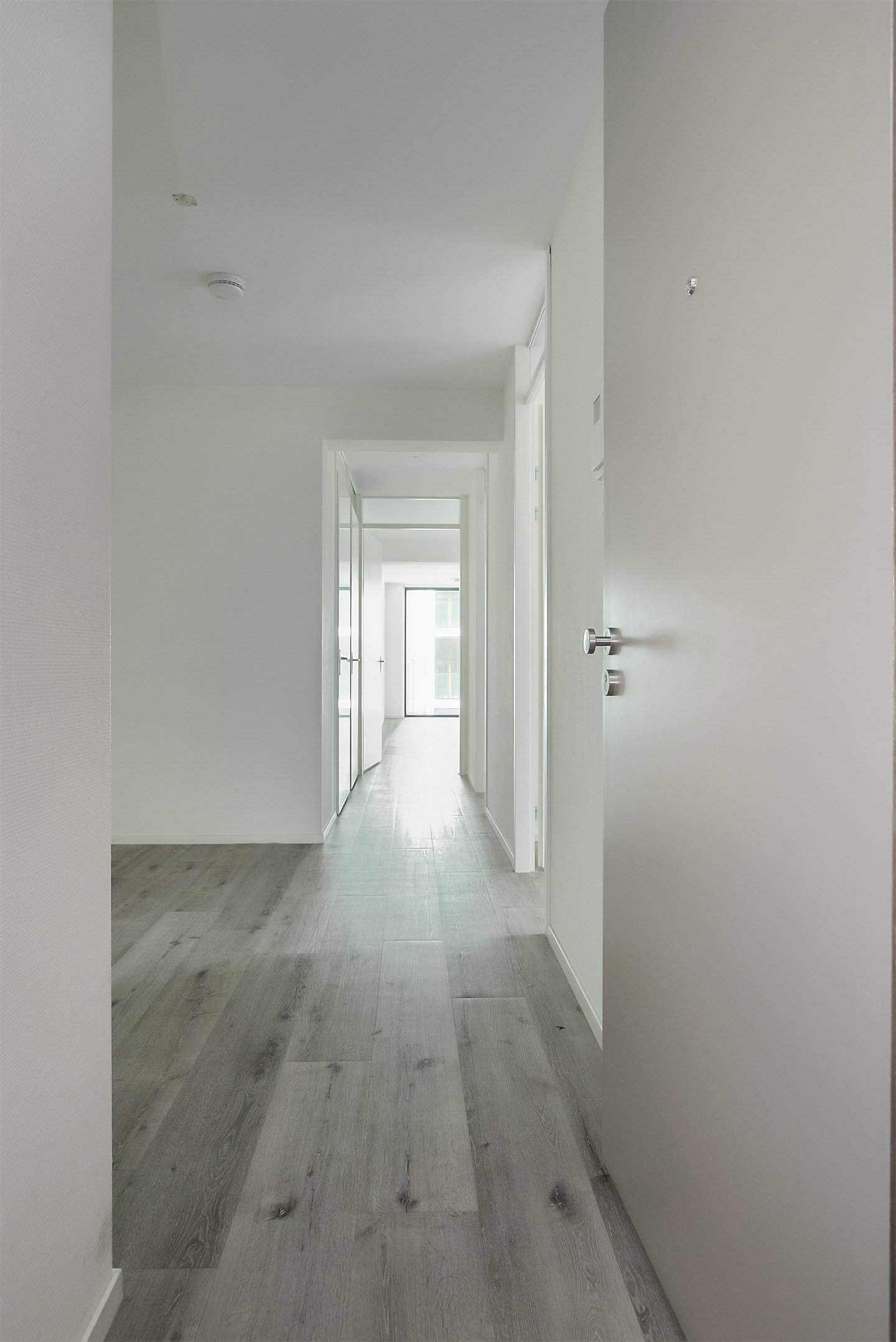 Bild 11 von 17