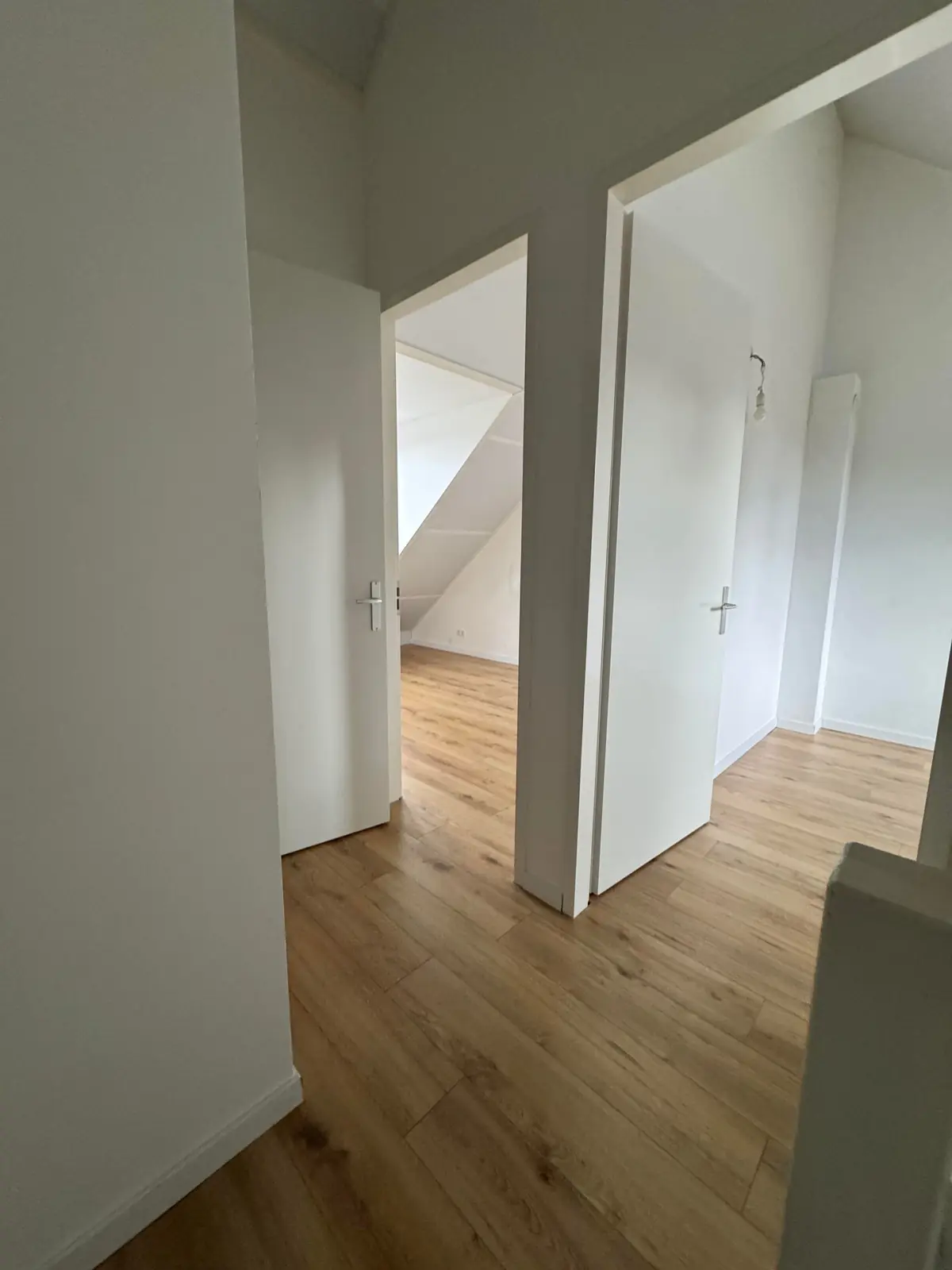 Image 12 sur 28