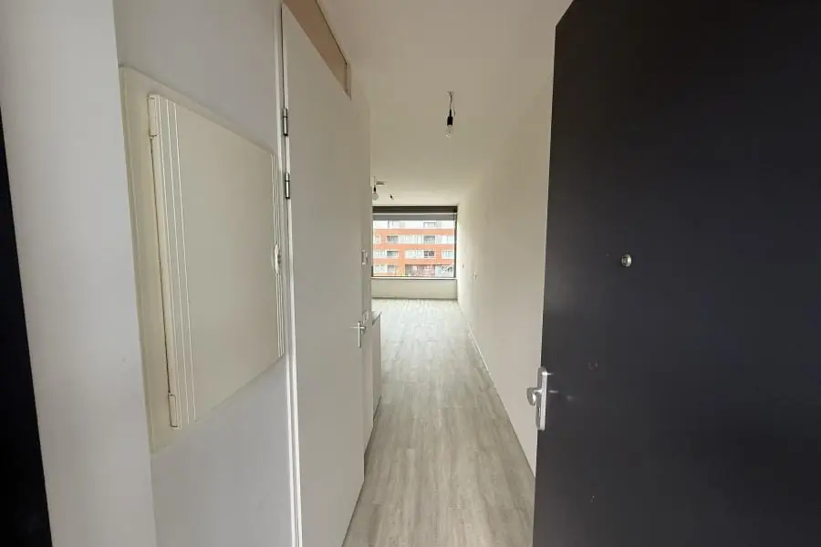 Image 13 of 20