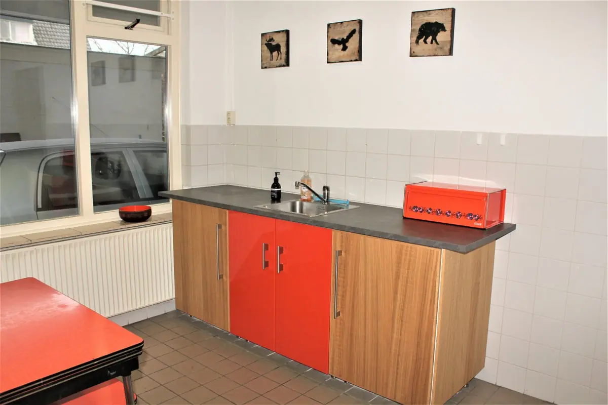 Afbeelding 11 van 16