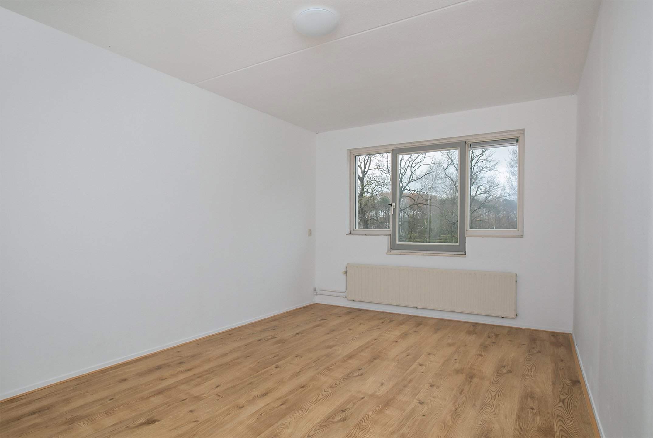 Bild 6 von 18