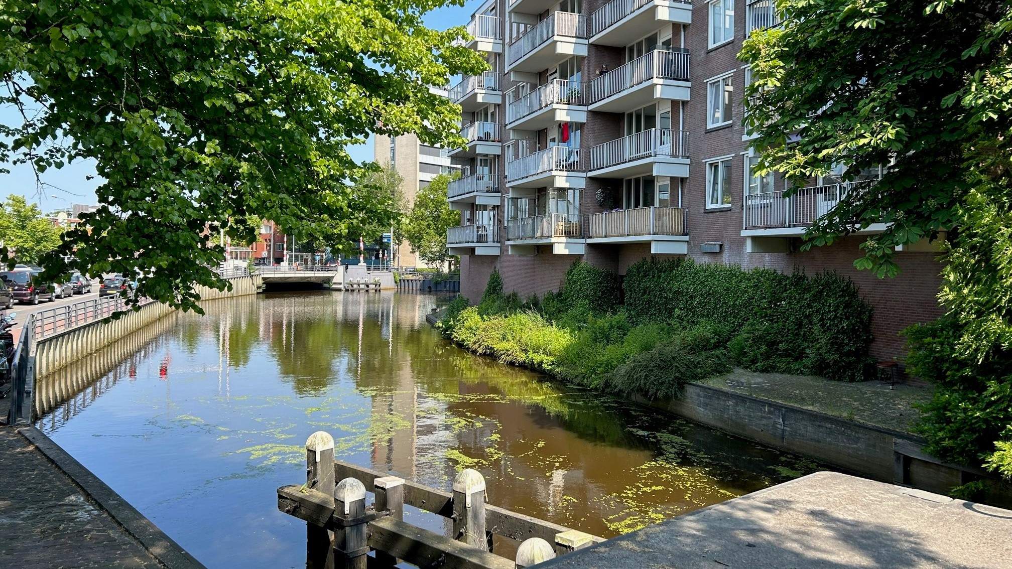 Afbeelding 2 van 35