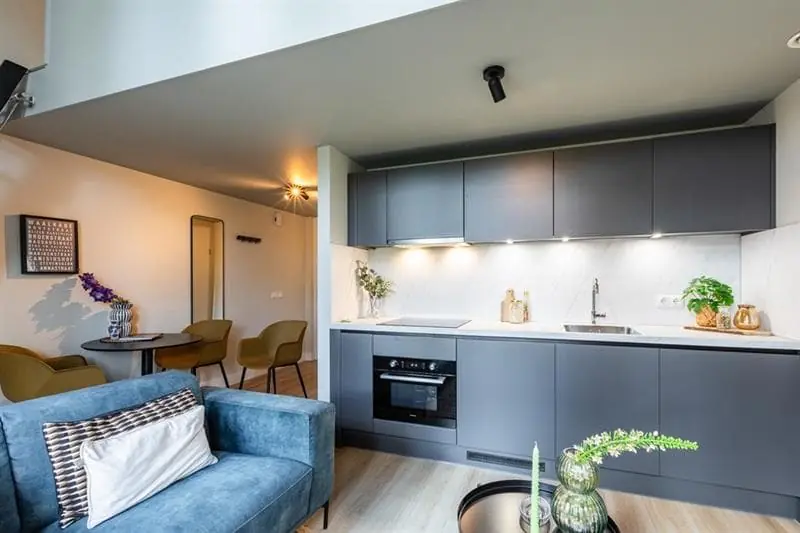 Furnished Apartment Berg en Dalseweg, Nijmegen - For Rent