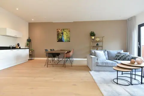Furnished Apartment Bagijnestraat, Den Haag City Centre - For Rent