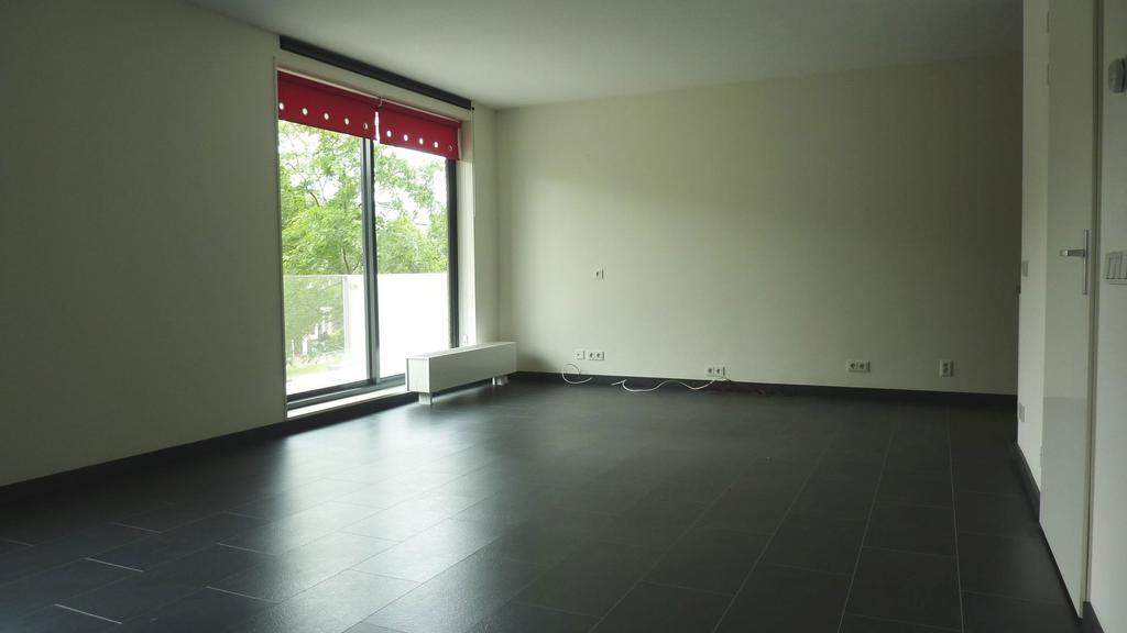 Bild 3 von 12