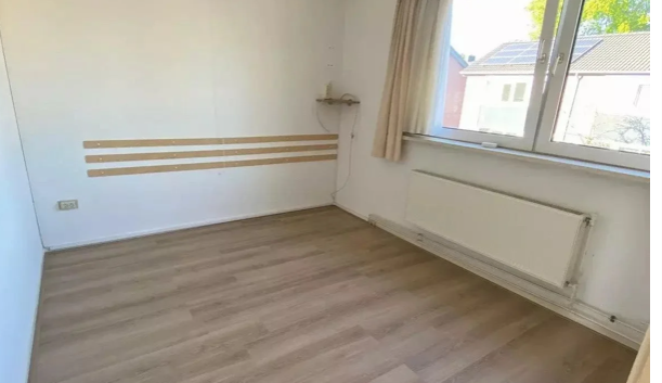 Image 4 of 12