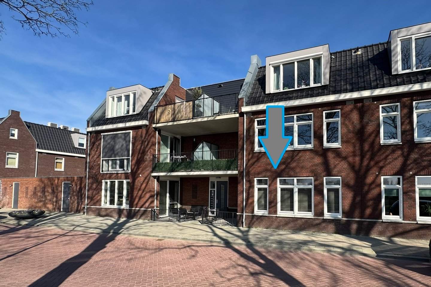 Afbeelding 1 van 12