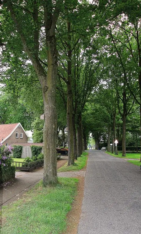 Afbeelding 9 van 30
