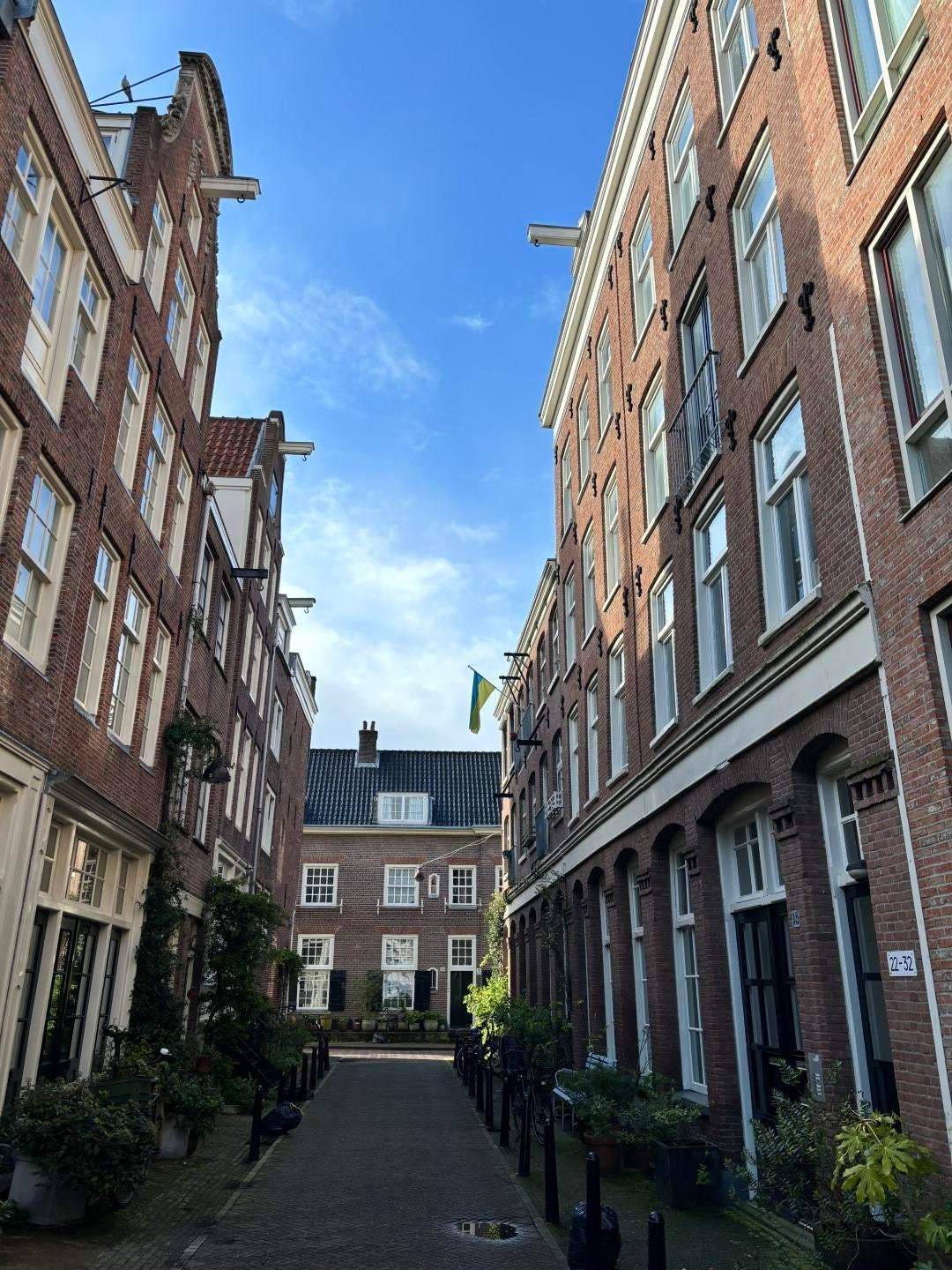 Afbeelding 2 van 37
