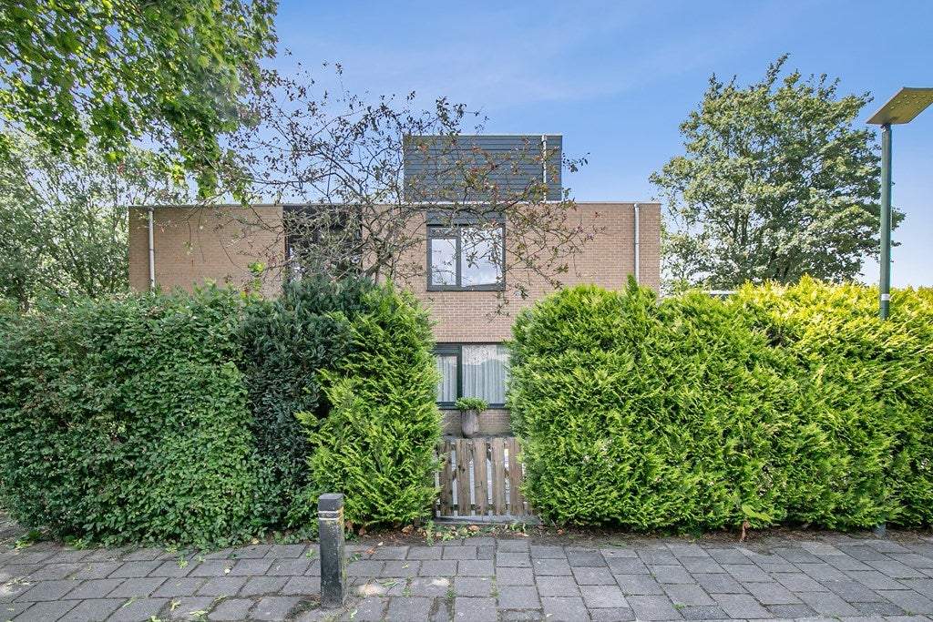 Afbeelding 1 van 28