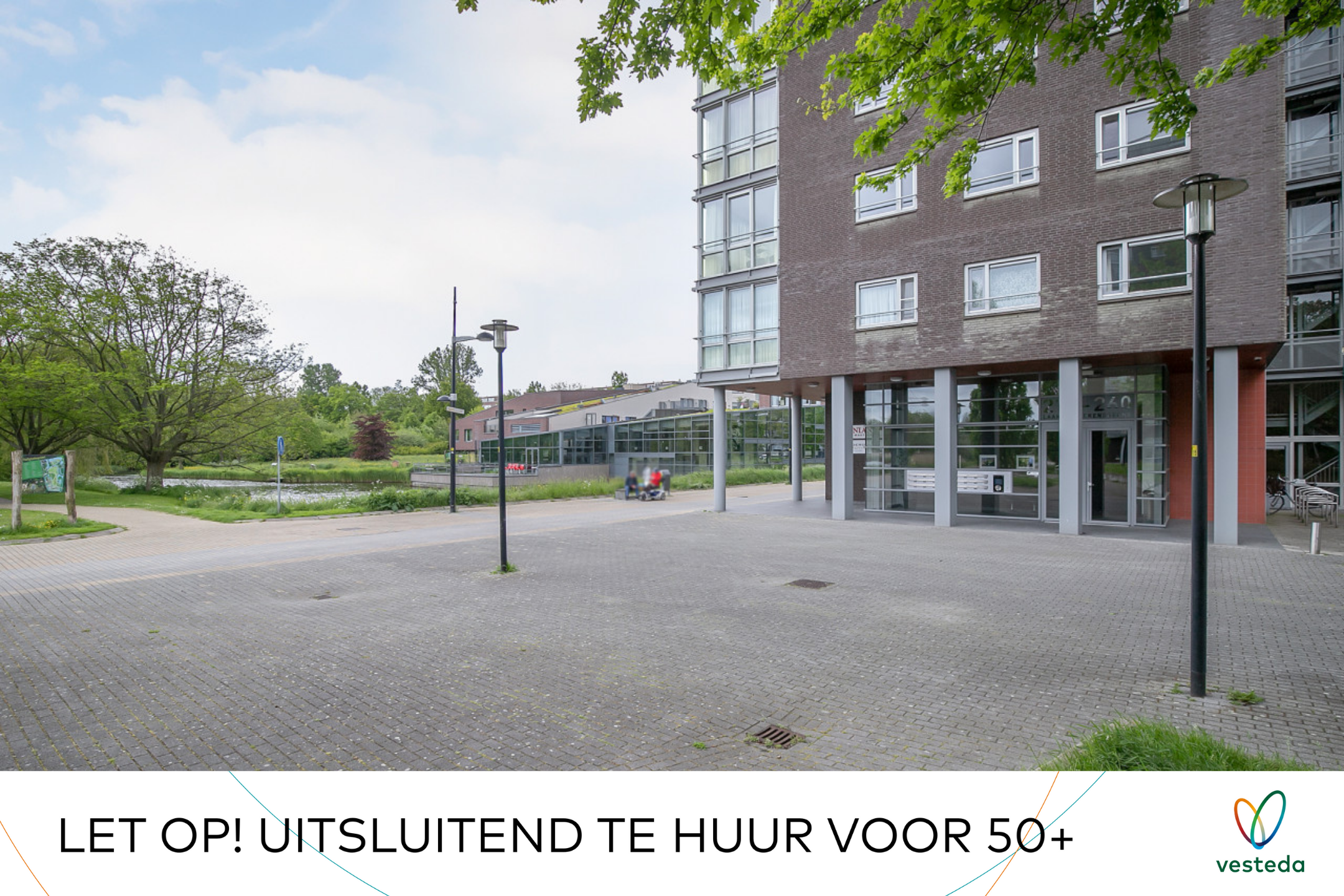 Afbeelding 1 van 19